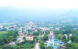 Hà Nội: Từng bước hiện thực hoá mục tiêu “rừng trong phố, phố trong rừng”