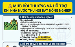 Mức Bồi thường và hỗ trợ khi nhà nước thu hồi đất nông nghiệp