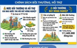 CHÍNH SÁCH BỒI THƯỜNG, HỖ TRỢ