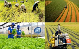 xã Hòa Phú: Triển khai thực hiện Nghị quyết số 53/2025/NQ-HĐND ngày 26/11/2025 của HĐND Thành phố