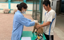 Xã Ô Diên đang triển khai tiêm vắc xin phòng bệnh cho đàn gia súc, gia cầm trên địa bàn