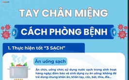 UBND PHƯỜNG VĂN MIẾU – QUỐC TỬ GIÁM TĂNG CƯỜNG TUYÊN TRUYỀN, CHỦ ĐỘNG PHÒNG, CHỐNG BỆNH TAY CHÂN MIỆNG TRÊN ĐỊA BÀN