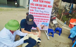 Phú Nghĩa triển khai tiêm phòng đại trà vắc xin cho đàn gia súc, gia cầm đợt 1 năm 2026