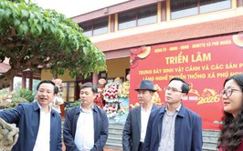 Phú Nghĩa tạo động lực phát triển kinh tế, vươn mình trong kỷ nguyên mới
