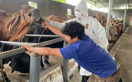 Xã Chương Dương tổ chức tiêm phòng vắc xin cho gia súc, gia cầm