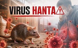 Tuyên truyền các biện pháp phòng, chống dịch bệnh do vi rút Hanta