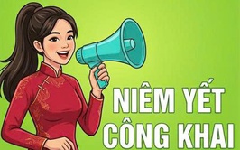 THÔNG BÁO MỜI TỔ CHỨC HÀNH NGHỀ ĐẤU GIÁ TÀI SẢN QUYỀN THUÊ ĐẤT NÔNG NGHIỆP CÔNG ÍCH, ...