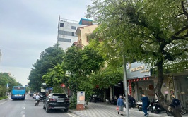 Ngày 11/5/2026, Hà Nội: nhiều mây, có lúc có mưa rào và dông