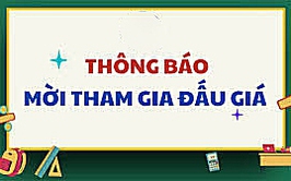 THÔNG BÁO ĐẤU GIÁ QUYỀN SỬ DỤNG ĐẤT TẠI THÔN THẠCH LỖI, XÃ NỘI BÀI