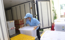 CHỦ CƠ SỞ  KINH DOANH THỰC PHẨM: THỰC HIỆN THỦ TỤC CẤP GIẤY CHỨNG NHẬN AN TOÀN THỰC PHẨM.