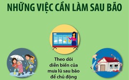 Những việc cần làm sau bão 