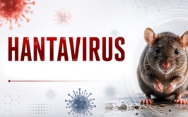 WHO ĐÁNH GIÁ NGUY CƠ LÂY LAN HANTAVIRUS RA CỘNG ĐỒNG Ở MỨC THẤP