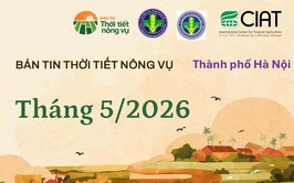 BẢN TIN THỜI TIẾT NÔNG VỤ THÁNG 5/2026