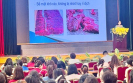 Phường Hoàn Kiếm tổ chức tập huấn kiểm soát chất lượng thịt gia súc, gia cầm và phòng chống dịch bệnh trong trường học