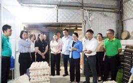 Hội Nông dân xã Quảng Bị: Đổi mới hoạt động, đồng hành cùng hội viên phát triển kinh tế