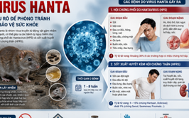 Khuyến cáo các biện pháp phòng, chống dịch bệnh do vi rút Hanta và các bệnh dịch khác lây truyền từ chuột sang người