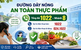 Hà Nội công khai đường dây nóng tiếp nhận, giải đáp phản ánh về An toàn thực phẩm qua Tổng đài 1022