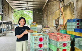 TRANG TRẠI THÀNH ĐÔ – MÔ HÌNH CHĂN NUÔI GÀ HIỆU QUẢ TỪ TINH THẦN DÁM NGHĨ, DÁM LÀM