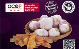 Bản tự công bố sản phẩm Tỏi chiên