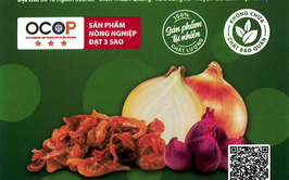 Bản tự công bố sản phẩm Hành phi