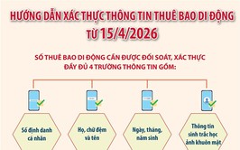 XÁC THỰC THÔNG TIN THUÊ BAO DI ĐỘNG TRÁCH NHIỆM VÀ QUYỀN LỢI CỦA MỖI NGƯỜI DÂN