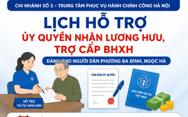 Lịch hỗ trợ ủy quyền nhận lương hưu, trợ cấp bảo trợ xã hội