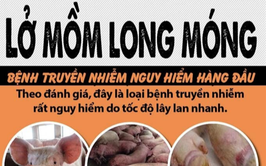 Triển khai các biện pháp ngăn chặn vi rút Lở mồm long móng serotype SAT1 xâm nhập vào địa bàn phường Nghĩa Đô