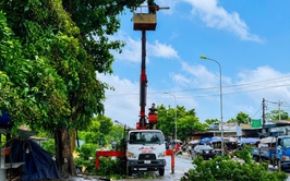 Xã Phú Nghĩa triển khai kế hoạch cắt tỉa cây xanh bảo đảm mỹ quan và phòng chống thiên tai năm 2026