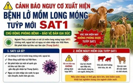 CẢNH BÁO NGUY CƠ XUẤT HIỆN VI RÚT LỞ MỒM LONG MÓNG SEROTYPE SAT1.