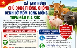 Tam Hưng chủ động phòng, chống bệnh Lở mồm long móng trên đàn gia súc