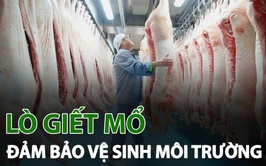 BÀI TUYÊN TRUYỀN: Về bảo đảm an toàn thực phẩm; giết mổ gia súc, gia cầm đúng nơi quy định và sử dụng thực phẩm có nguồn gốc rõ ràng
