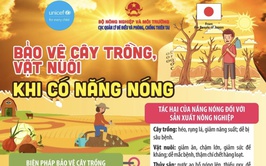 Trung tâm Dịch vụ tổng hợp xã Vĩnh Thanh ban hành hướng dẫn về các biện pháp bảo vệ cây trồng, vật nuôi trong điều kiện nắng nóng