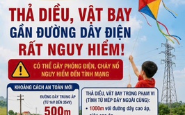 THẢ DIỀU, VẬT BAY GẦN ĐƯỜNG DÂY ĐIỆN – HIỂM HỌA KHÔN LƯỜNG
