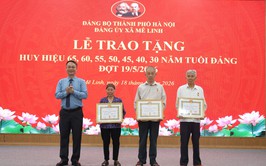 Xã Mê Linh tổ chức Lễ trao tặng Huy hiệu Đảng đợt 19-5