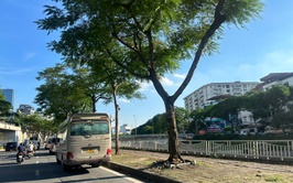Ngày 16/5/2026, Hà Nội: ngày nắng nóng; chiều và đêm có mưa rào và dông rải rác, cục bộ có nơi mưa to