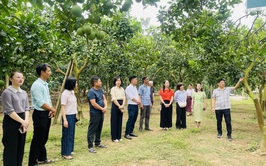 Đoàn công tác Sở Du lịch Hà Nội khảo sát phát triển sản phẩm du lịch nông nghiệp, nông thôn tại xã Phúc Lộc