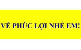 Về Phúc Lợi nhé em!