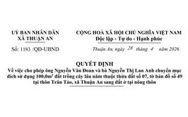 Cho phép ông Nguyễn Văn Đoan và bà Nguyễn Thị Lan Anh chuyển mục đích sử dụng 100,0m2 đất trồng cây lâu năm thuộc thửa đất số 07, tờ bản đồ số 49 tại thôn Trân Tảo, xã Thuận An sang đất ở tại nông thôn