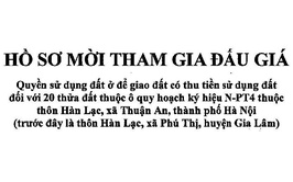 Hồ sơ mời tham gia đấu giá QSD đất tại thôn Hàn Lạc - xã Thuận An - TP. Hà Nội
