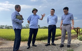 Phú Xuyên chủ động cho thu hoạch lúa Xuân, sẵn sàng cho sản xuất vụ Mùa 2026