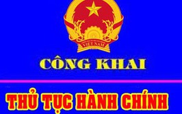 Phê duyệt danh mục thủ tục hành chính thực hiện không phụ thuộc vào địa giới hành chính thuộc phạm vi quản lý của Ủy ban nhân dân thành phố Hà Nội