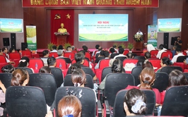 Hội nghị đánh giá kết quả thực hiện các mô hình sản xuất lúa vụ xuân năm 2026
