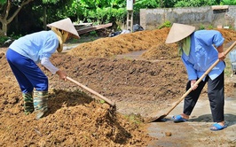 Giải pháp xử lý rơm rạ sau thu hoạch thành phân bón hữu cơ: Lợi ích kép cho nông dân và môi trường