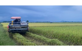 HƯỚNG DẪN