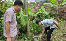 Hoài đức lập 198 đội xung kích và 67 tổ giám sát phòng, chống sốt xuất huyết với quyết tâm dập dịch từ gốc