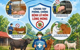 Khuyến cáo phòng chống bệnh lở mồm long móng Serotype SAT-1 trên gia súc