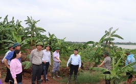 Xã Phú Xuyên Chủ động Phòng Chống Thiên tai
