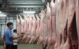 Tăng cường bảo đảm an toàn thực phẩm trong hoạt động giết mổ, kinh doanh động vật và sản phẩm động vật