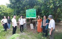 Đoàn Công tác của Sở Du lịch Hà Nội khảo sát, đánh giá tính khả thi và điều kiện đáp ứng để triển khai nhiệm vụ xây dựng sản phẩm du lịch nông nghiệp, nông thôn tại xã Minh Châu.