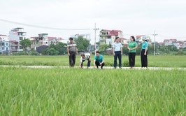 Thẩm định thực tế các phương án vay vốn quỹ hỗ trợ nông dân tại xã Thanh Oai
